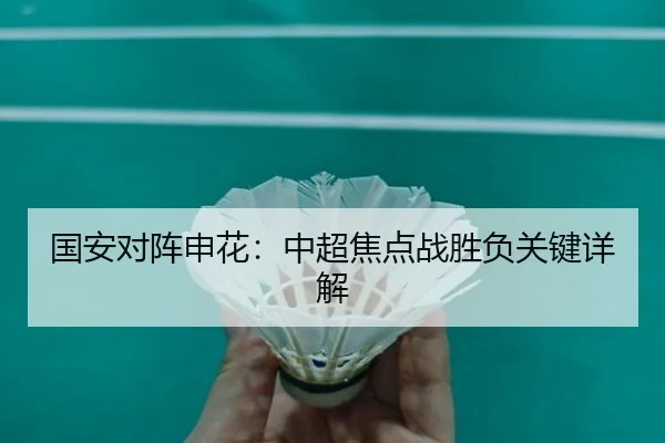 国安对阵申花：中超焦点战胜负关键详解